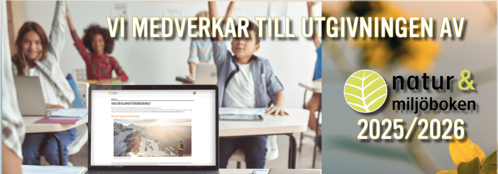 Sigill-liten-2025-26-1024×359